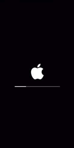 [해결됨] iPhone X, 11, 12,13 iOS 15/14/13의 부팅 루프에 멈춤 