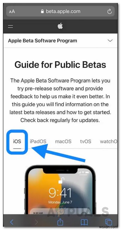 iOS 15 공개 베타를 설치하는 방법은 무엇입니까? 