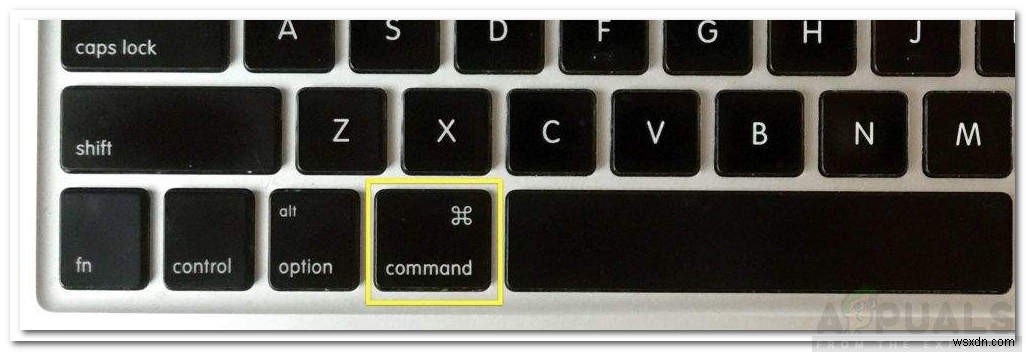 MacBook Pro에서  검은 화면 및 응답 없음 을 수정하는 방법은 무엇입니까? 