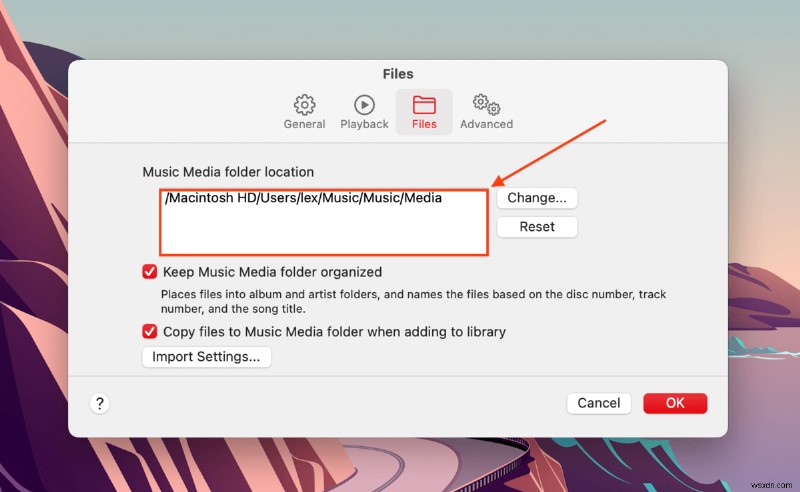 Mac의 iTunes에서 삭제된 노래를 복구하는 방법:5가지 방법 + 보너스