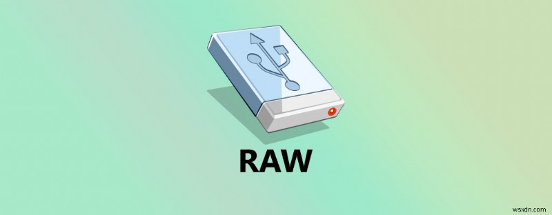 RAW 외장 하드 드라이브에서 파일을 복구하는 방법