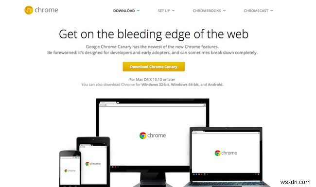 크롬 카나리아(Chrome Canary)란? 특징과 꼭 필요한 사람들