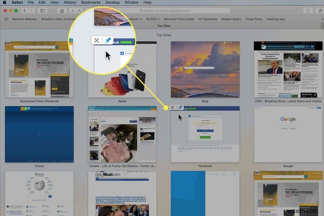 Safari 상위 사이트(Top Sites) 기능 관리 방법 완벽 가이드