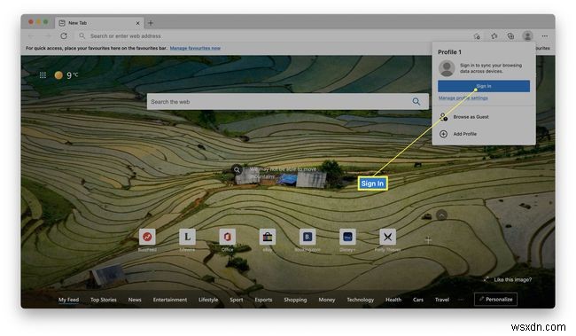 Microsoft Edge에서 로그아웃하는 방법 (다시 로그인·프로필 삭제·게스트 모드까지)