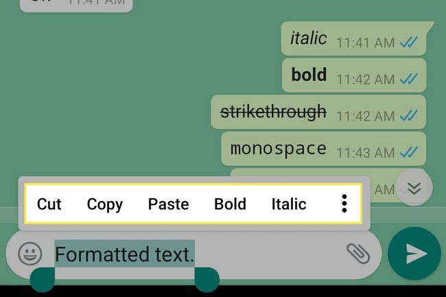 WhatsApp 메시지에 굵게, 기울임꼴, 취소선 서식 적용하는 방법