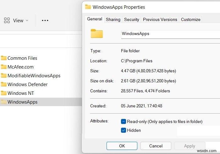 Windows 10/11에서 숨겨진 WindowsApps 폴더에 접근하는 방법 완벽 가이드