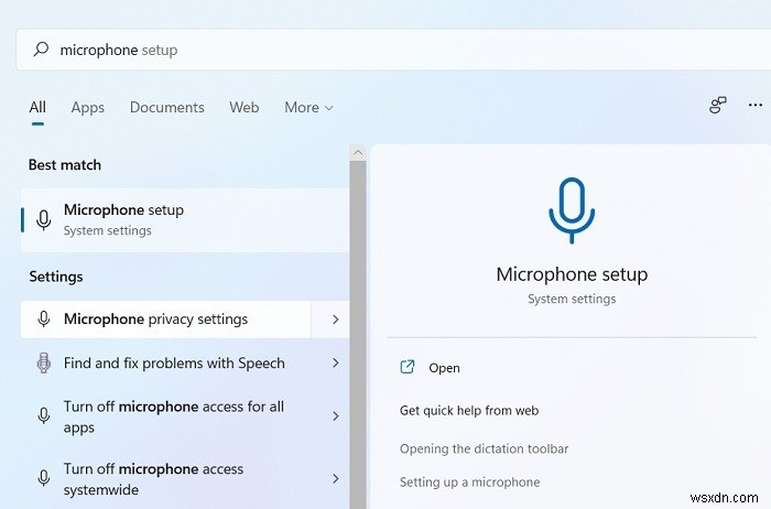 Windows 11/10에서 마이크가 작동하지 않을 때 해결하는 방법 총정리