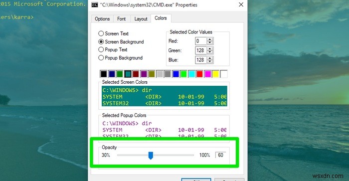 Windows 10 명령 프롬프트(CMD) 화면 예쁘게 꾸미는 방법 총정리