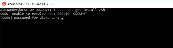 Windows 10에 zsh 및 Oh My Zsh 설치하는 방법