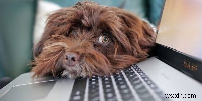 Windows 시스템에서 키로거를 탐지하고 차단하는 완벽 가이드
