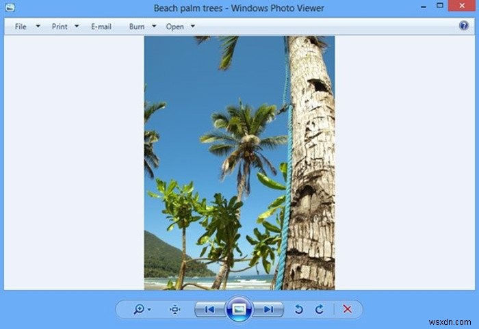 Windows 10 사진 앱이 작동하지 않나요? 단계별 해결 방법 총정리