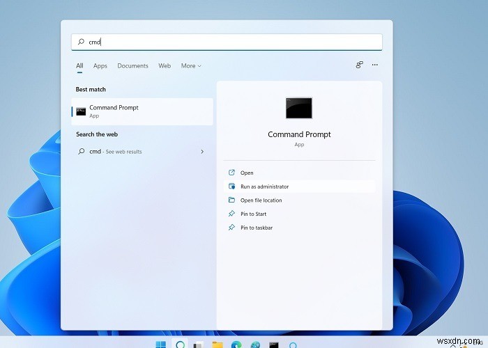 Windows 11/10 명령 프롬프트로 파일 찾기 및 열기 완벽 가이드