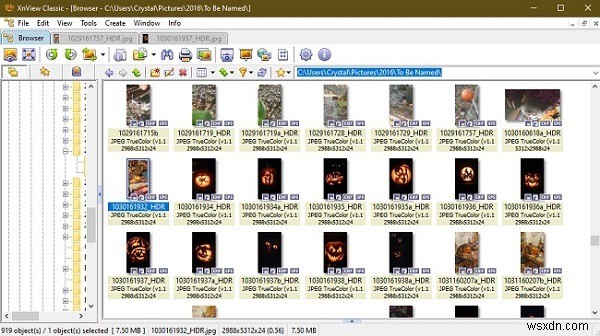 Windows 10 기본 사진 앱이 답답하다면? 최고의 사진 뷰어 대안 7가지