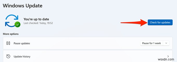 Windows 11 검색이 작동하지 않나요? 꼭 시도해야 할 10가지 해결 방법