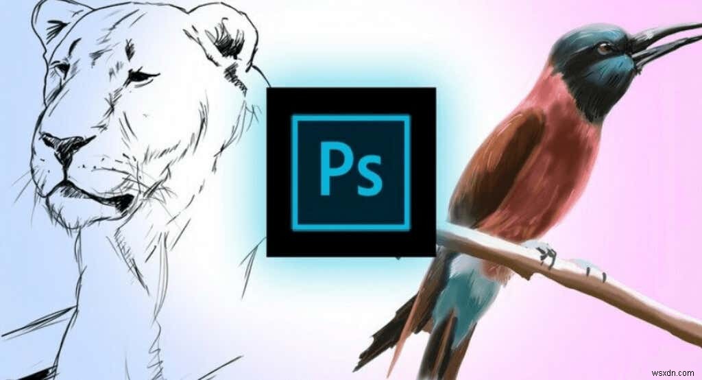 Windows에서 창작력을 폭발시키는 최고의 그리기 앱 7가지