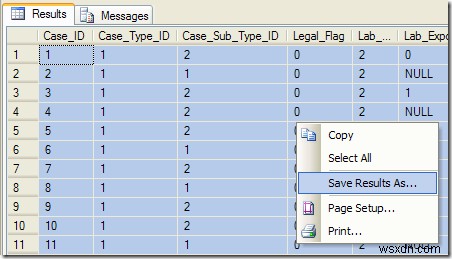 SQL 데이터를 열 머리글과 함께 Excel로 내보내는 방법
