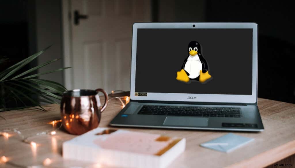 Chromebook에 리눅스(Linux) 배포판 설치하는 방법 완벽 가이드