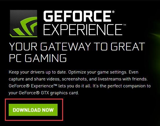 Windows 10 NVIDIA 드라이버 업데이트 방법 4가지 완벽 정리