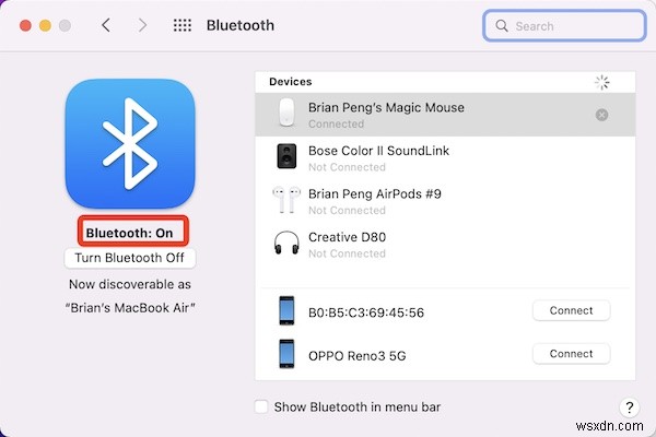Apple Magic Mouse가 Mac에서 작동하지 않을 때? 6가지 해결 방법 총정리