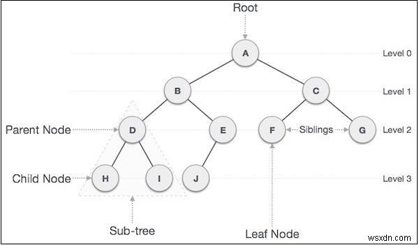 자바스크립트 이진 트리(Binary Tree) 완벽 정리: 핵심 개념과 필수 용어 총정리