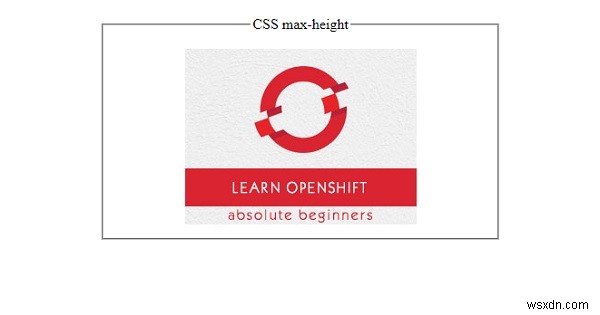 CSS max-height 속성 완벽 가이드 – 요소의 최대 높이 제한하기