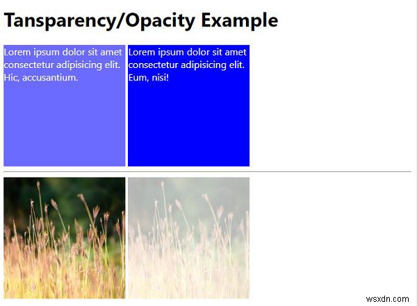 CSS 투명도(Opacity) 완벽 정리 – opacity 속성 사용법과 실전 예제