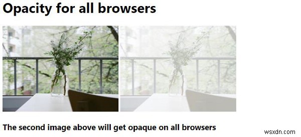 모든 브라우저에서 작동하는 CSS 불투명도(opacity) 완벽 가이드