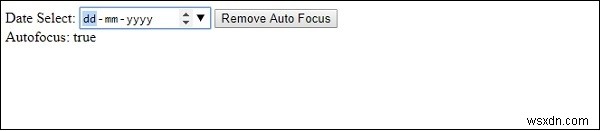 HTML DOM Input Date autofocus 속성 – 페이지 로드 시 자동 포커스 설정하기