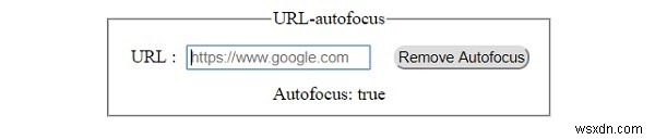 HTML DOM Input URL autofocus 속성 – 자동 포커스 설정 및 반환 방법