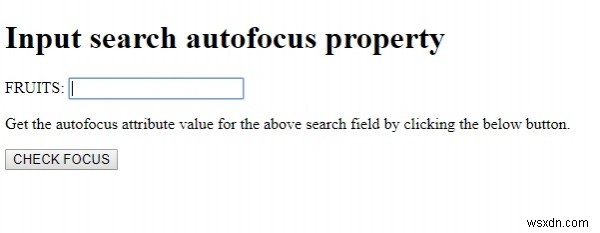 HTML DOM 입력 검색(Input Search) autofocus 속성 완벽 가이드