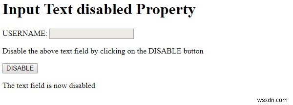 HTML DOM Input Text disabled 속성 – 텍스트 필드 비활성화 방법 총정리