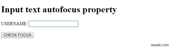 HTML DOM 입력 텍스트 autofocus 속성 – 페이지 로드 시 자동 포커스 설정 방법