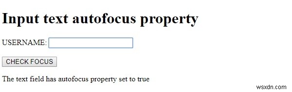 HTML DOM 입력 텍스트 autofocus 속성 – 페이지 로드 시 자동 포커스 설정 방법