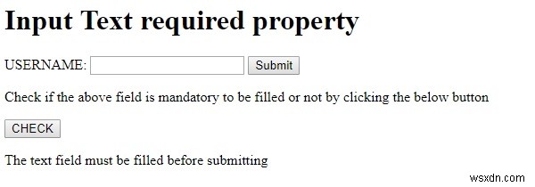 HTML DOM 입력 텍스트(Input Text) required 속성 완벽 가이드
