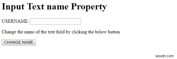 HTML DOM Input Text name 속성 – 설정 및 반환 방법 완벽 정리