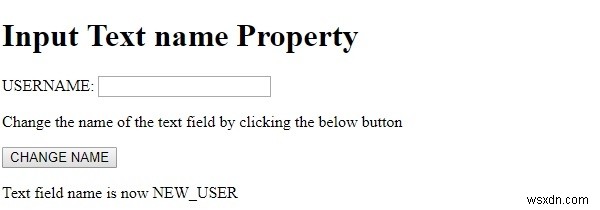 HTML DOM Input Text name 속성 – 설정 및 반환 방법 완벽 정리