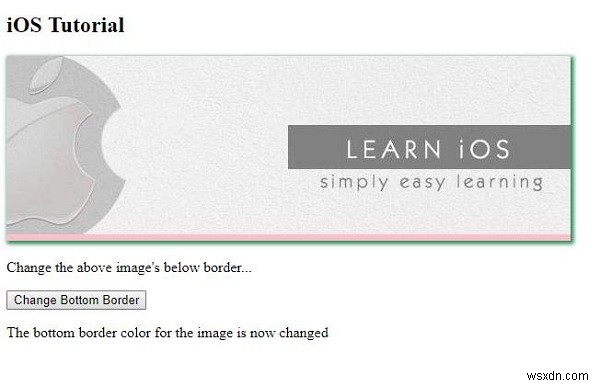 HTML DOM borderBottomColor 속성 – 하단 테두리 색상 설정 및 반환 방법