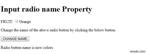 HTML DOM 라디오 버튼 name 속성 완벽 정리 – 설정 및 반환 방법