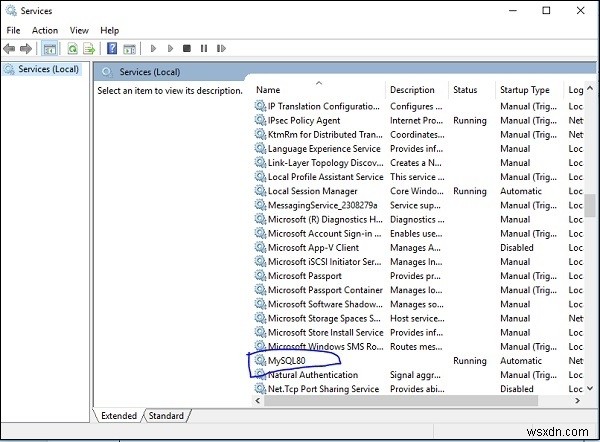윈도우에서 MySQL my.cnf 설정 파일 위치 찾는 방법 (단계별 가이드)