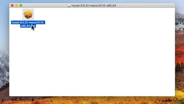 macOS에 MySQL 설치하는 방법 – 단계별 완벽 가이드