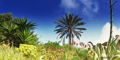 PHP imagefilltoborder() 함수로 특정 색상 영역 채우기 완벽 가이드