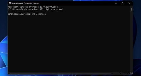 콜 오브 듀티: 워존이 Windows 11/10에서 실행되지 않을 때 해결하는 9가지 방법