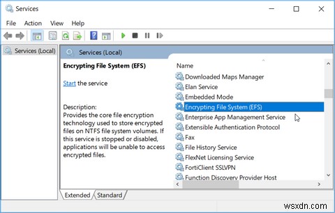 Windows 암호화 파일 시스템(EFS)이란? 활성화 및 비활성화 방법 총정리