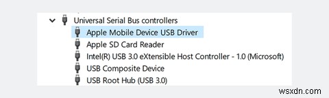 iPhone이 Windows 10에 연결되지 않을 때 시도해 볼 8가지 해결 방법