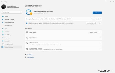 Windows 11 런타임 오류 해결 방법 총정리