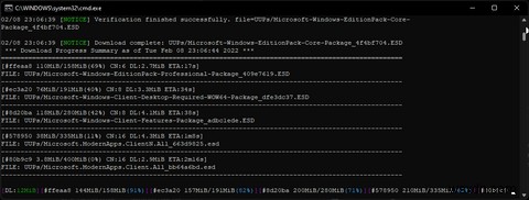 Windows Insider 프로그램 가입 없이 Windows 11 Insider ISO를 다운로드하는 방법
