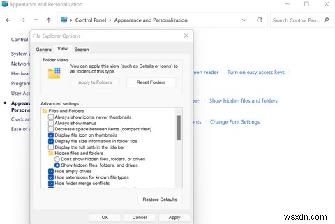 Windows 11에서 숨겨진 파일 및 폴더를 표시하는 방법