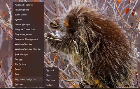 Windows 11에서 고급 시작 옵션 메뉴로 진입하는 8가지 방법