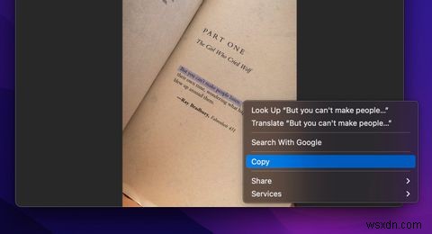 macOS Monterey가 설치된 Mac에서 라이브 텍스트(Live Text) 사용하는 방법