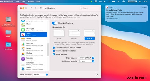 macOS 알림 완벽 관리법: 알림 센터부터 앱별 세부 설정까지
